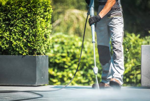 Best Pool Deck Cleaning  in Wedgefield, FL