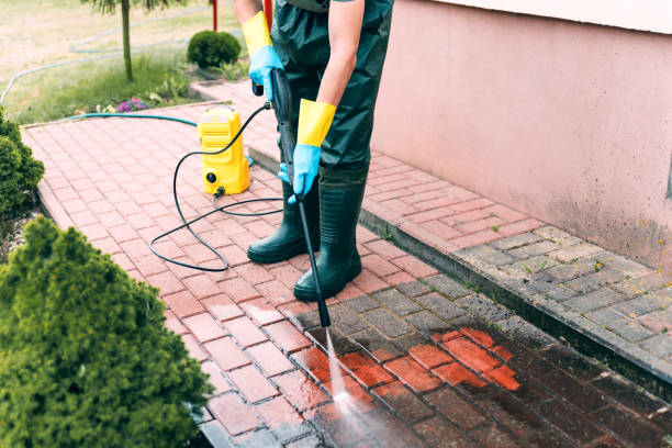 Best Patio and Deck Pressure Washing  in Wedgefield, FL