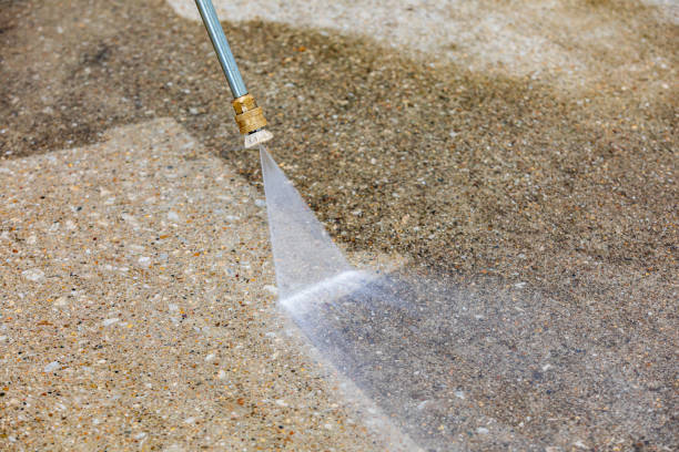Best Building Exterior Washing  in Wedgefield, FL