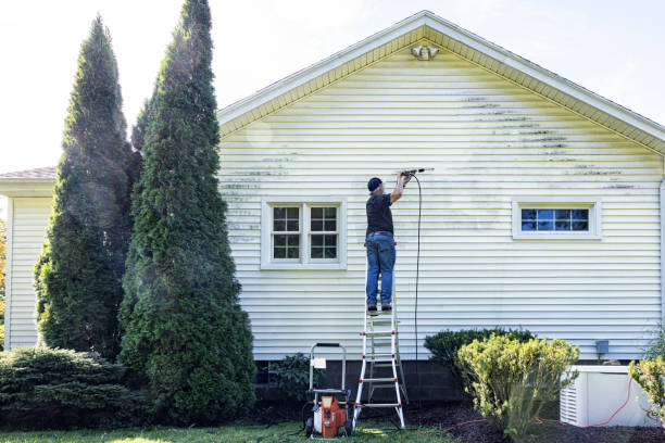 Best Spring Cleaning  in Wedgefield, FL